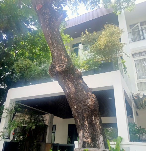 Anh Trọng- Euro village