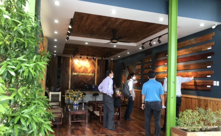 Các loại cây hút khí độc trong nhà và văn phòng cực tốt