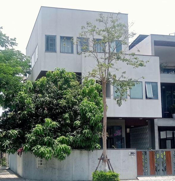 Chị Thu- Euro village