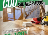 6 bước cứu sàn gỗ tự nhiên sau ngập nước (hiệu quả 80–100%) - REALTREE