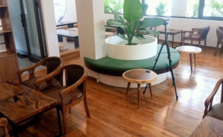 UV PAINTING TECHNOLOGY FOR NATURAL WOOD FLOORING