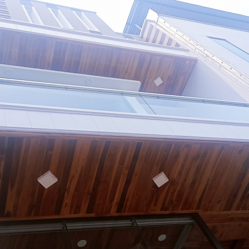 Loạt ảnh về chúng tôi