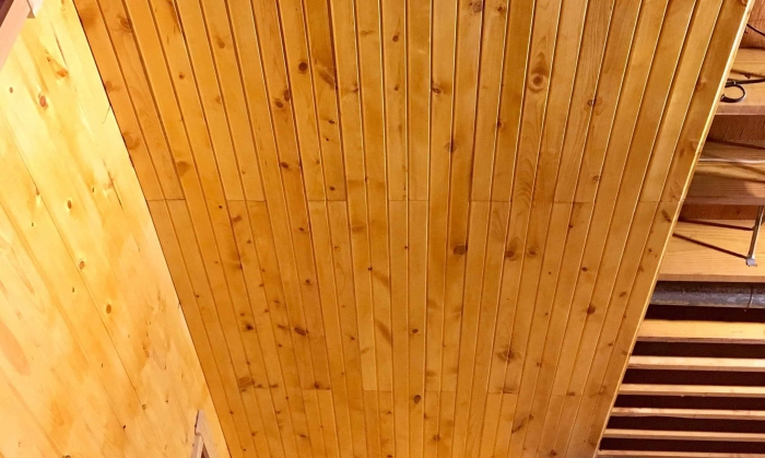 TRẦN THÔNG CARIBE