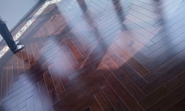 TẾCH LÀO (GIÁ TỴ)