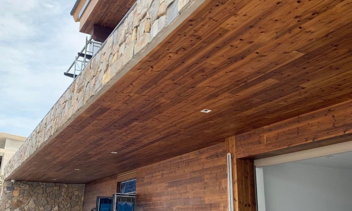 TRẦN THÔNG CARIBE