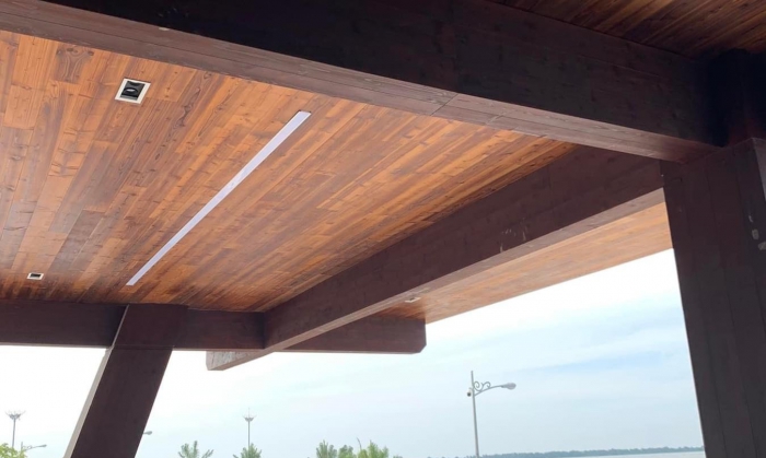 TRẦN THÔNG CARIBE