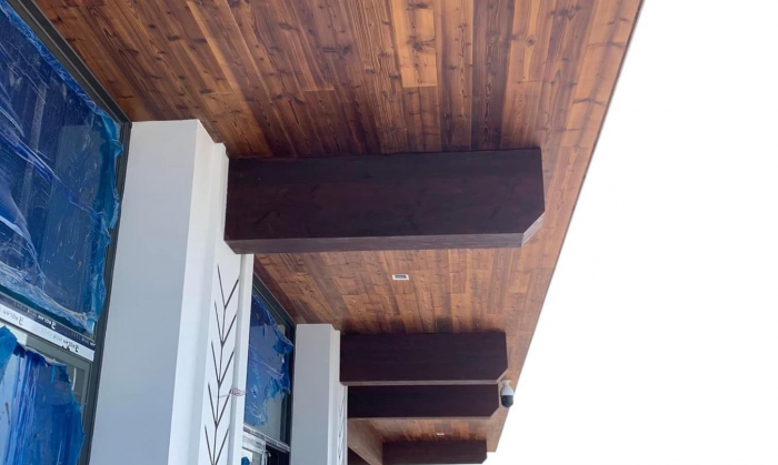 TRẦN THÔNG CARIBE