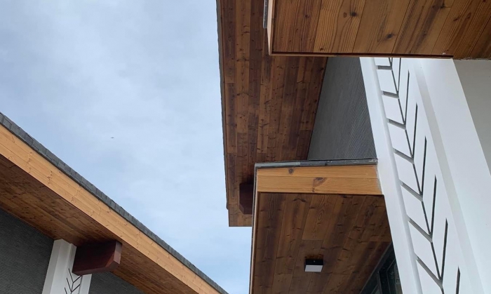 TRẦN THÔNG CARIBE