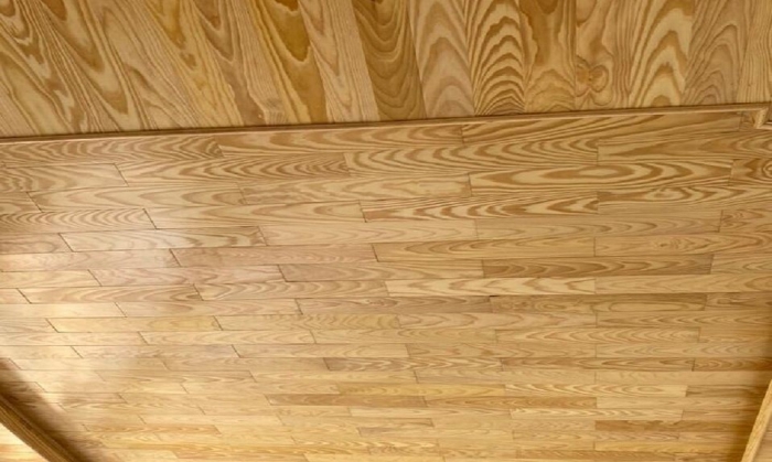 TRẦN THÔNG CARIBE