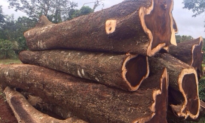 BẬC CẦU THANG CHIÊU LIÊU