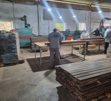 RealTree được tin tưởng tại thị trường Nhật Bản