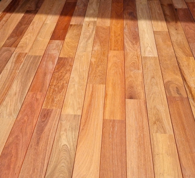 RealTree được tin tưởng tại thị trường Nhật Bản