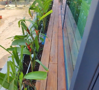 Các loại cây hút khí độc trong nhà và văn phòng cực tốt