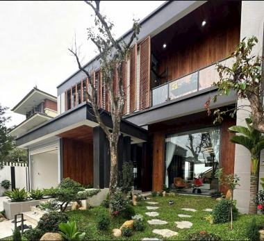 Các loại cây hút khí độc trong nhà và văn phòng cực tốt