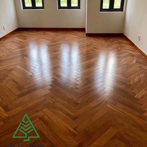 Loạt ảnh về chúng tôi