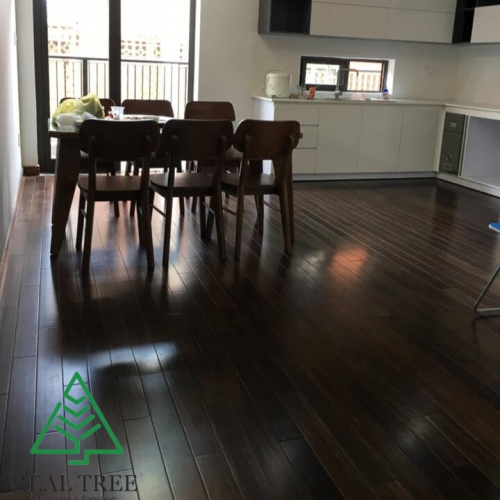 Loạt ảnh về chúng tôi