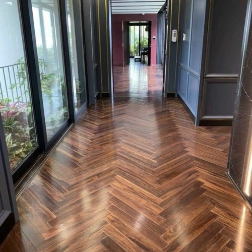 Loạt ảnh về chúng tôi