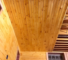 TRẦN THÔNG CARIBE