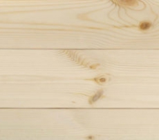 TRẦN THÔNG CARIBE