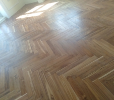 TẾCH LÀO (GIÁ TỴ)