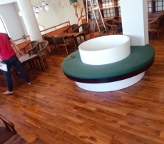 TẾCH LÀO (GIÁ TỴ)