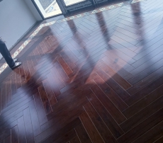 TẾCH LÀO (GIÁ TỴ)