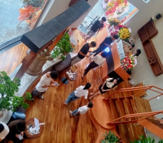 TẾCH LÀO (GIÁ TỴ)