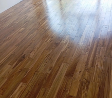 TẾCH LÀO (GIÁ TỴ)