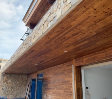 TRẦN THÔNG CARIBE