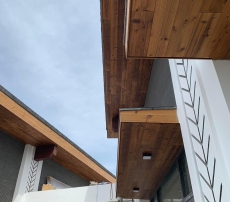 TRẦN THÔNG CARIBE