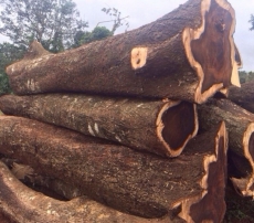 BẬC CẦU THANG CHIÊU LIÊU