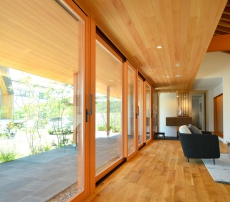 TRẦN THÔNG CARIBE