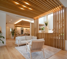 TRẦN THÔNG CARIBE