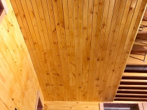 TRẦN THÔNG CARIBE