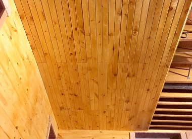 TRẦN THÔNG CARIBE